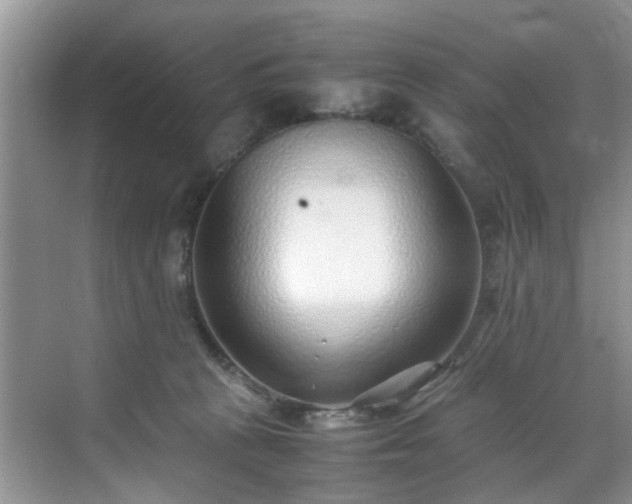 X0000070430273200606161512