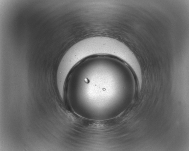 X0000070430276200606161512