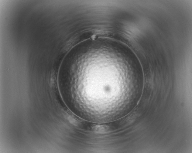 X0000070430277200606161512