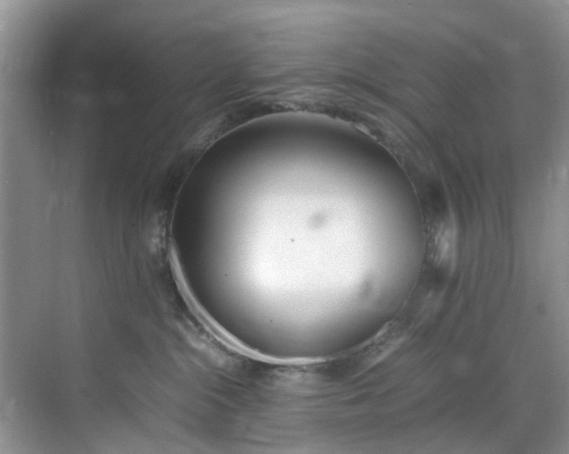 X0000070430284200606161512