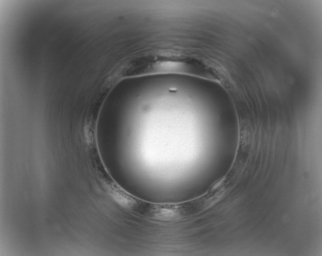 X0000070430285200606161512