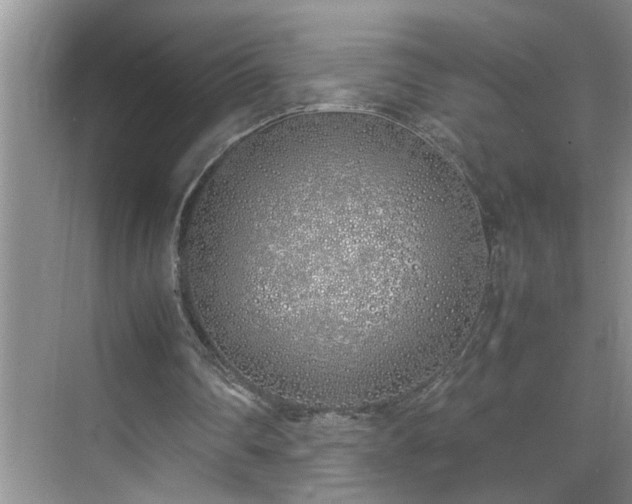 X0000070430290200606161511