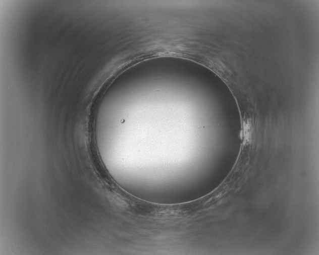 X0000070430291200606161511