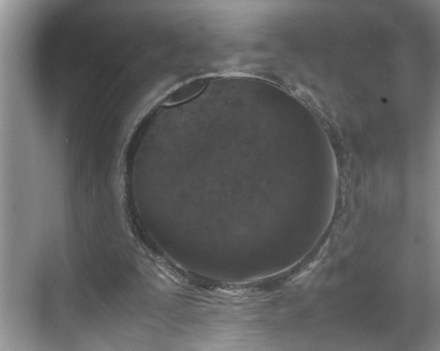 X0000070430295200606161511