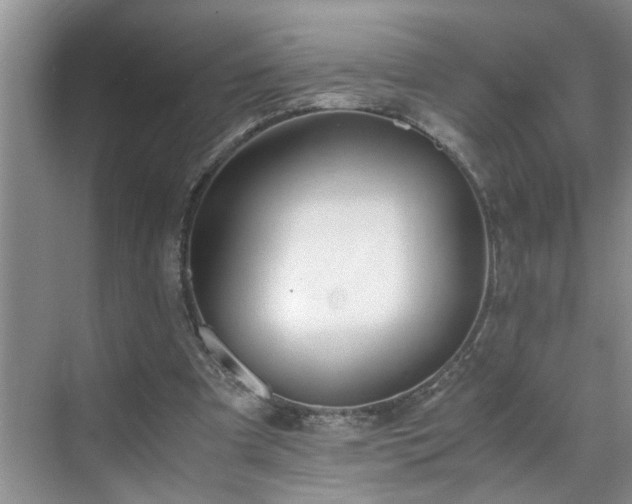 X0000070430297200606161511