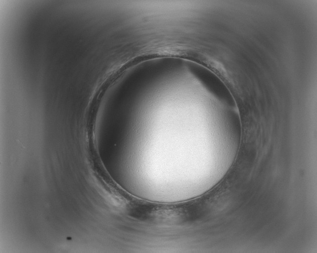 X0000070430299200606161511