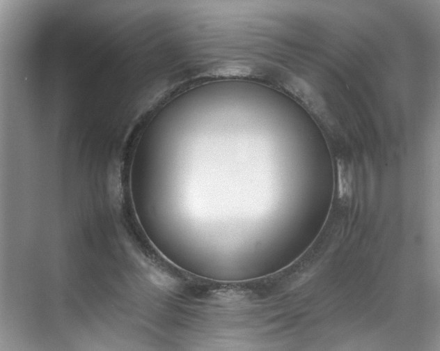 X0000070430300200606161511