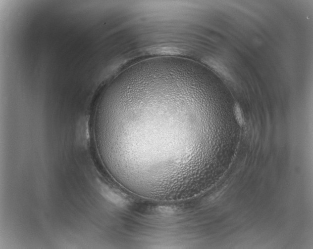 X0000070430302200606161511