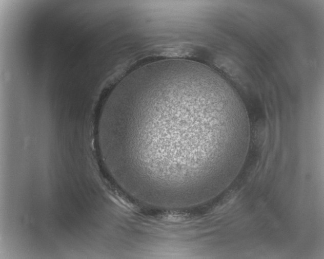 X0000070430303200606161511