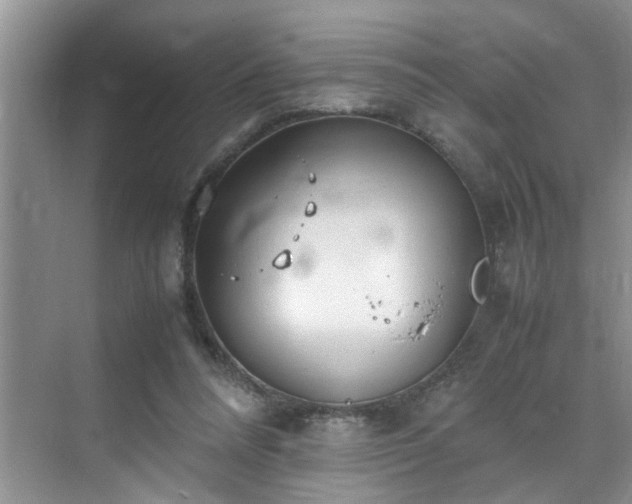 X0000070430304200606161511