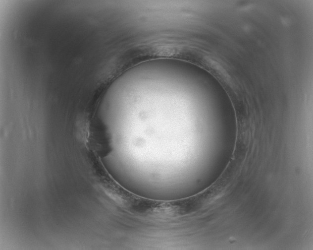 X0000070430307200606161511