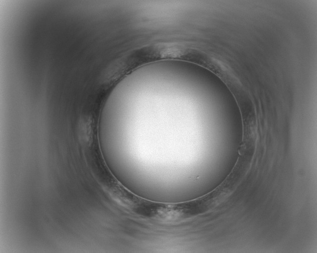 X0000070430311200606161511