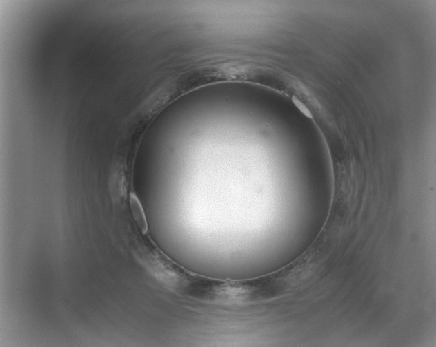 X0000070430313200606161511