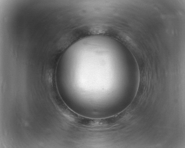 X0000070430315200606161511