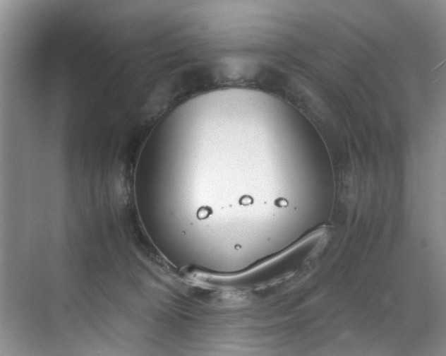 X0000070430324200606161510