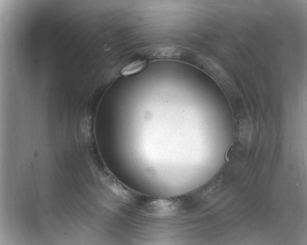 X0000070430326200606161510