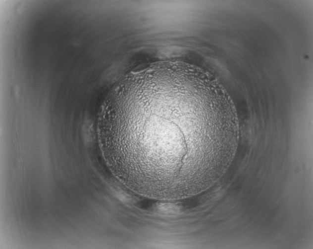 X0000070430327200606161510