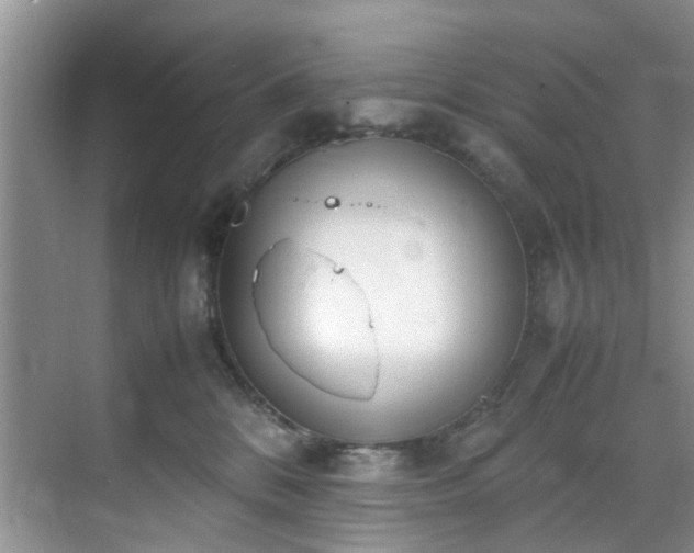 X0000070430328200606161510