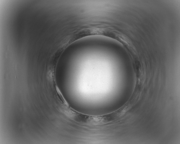 X0000070430329200606161510