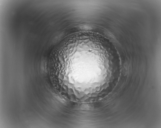 X0000070430330200606161510