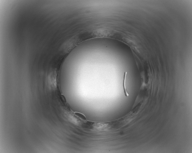 X0000070430334200606161510