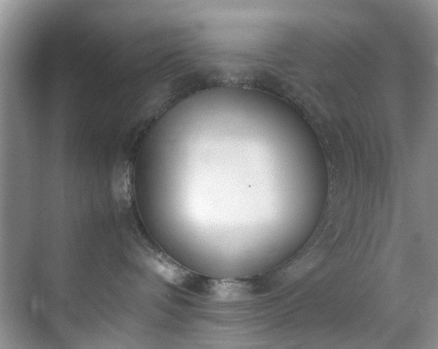 X0000070430336200606161510