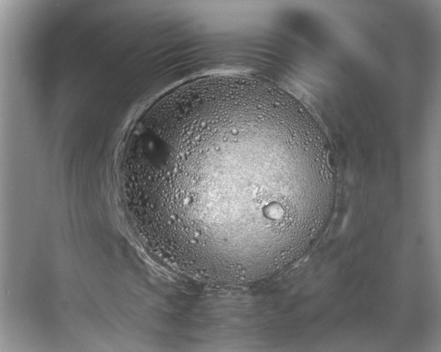 X0000070430337200606161509