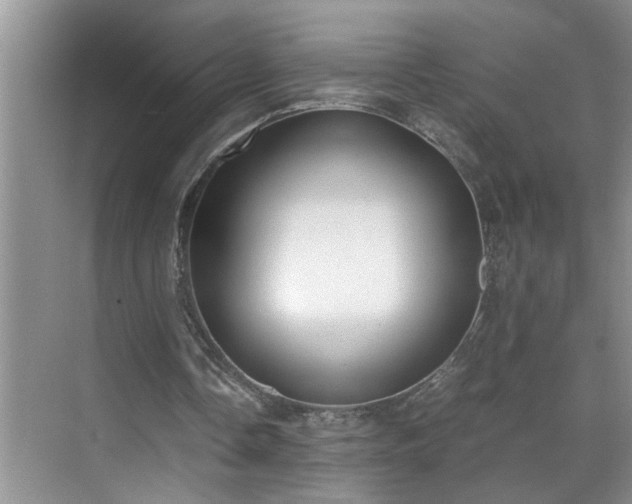 X0000070430338200606161509