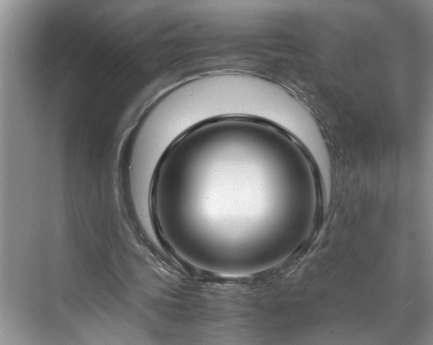 X0000070430339200606161510