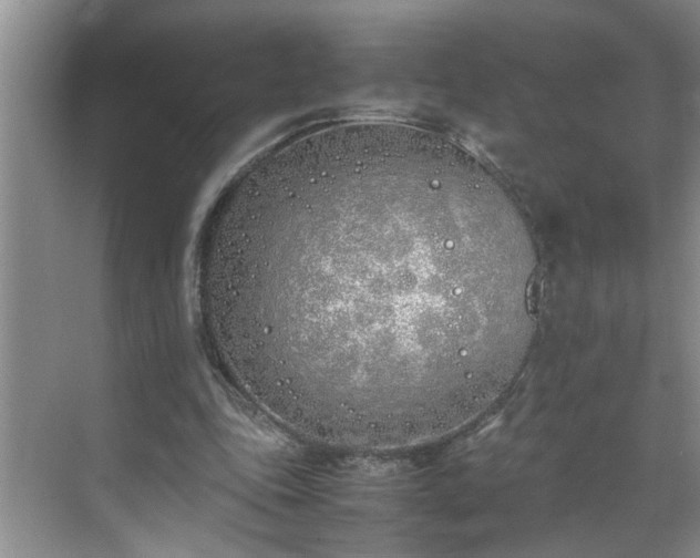 X0000070430343200606161510