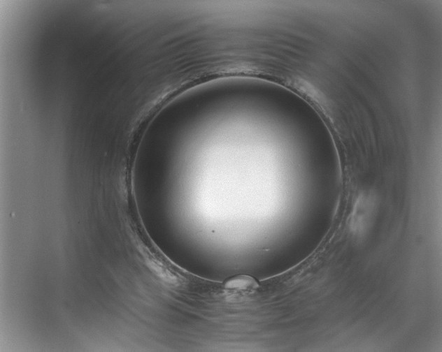 X0000070430345200606161510