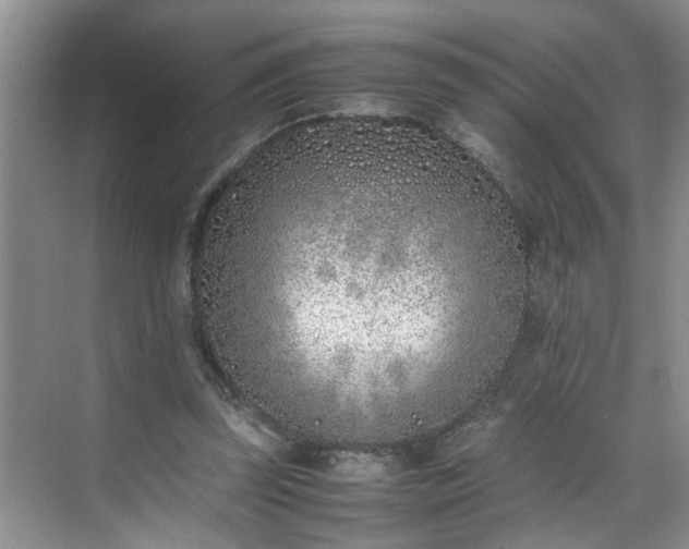 X0000070430347200606161510