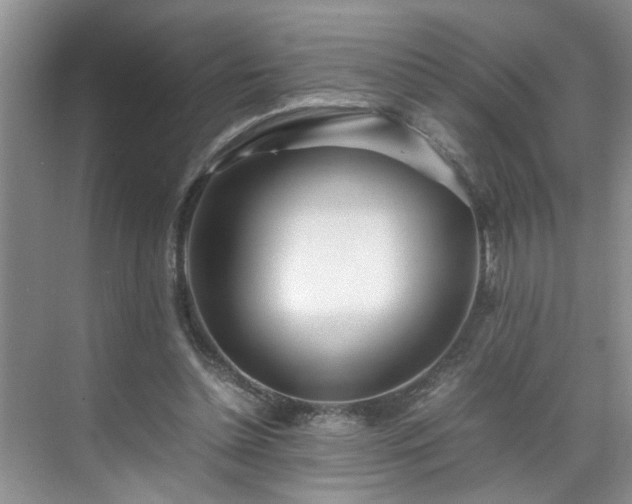 X0000070430348200606161510