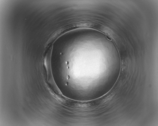 X0000070430349200606161510