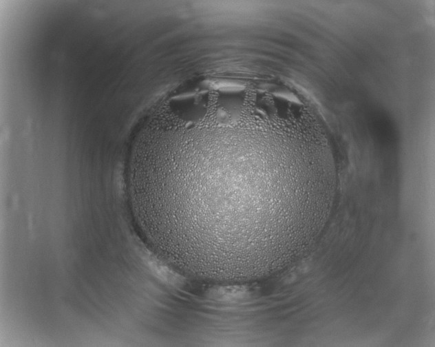 X0000070430353200606161510