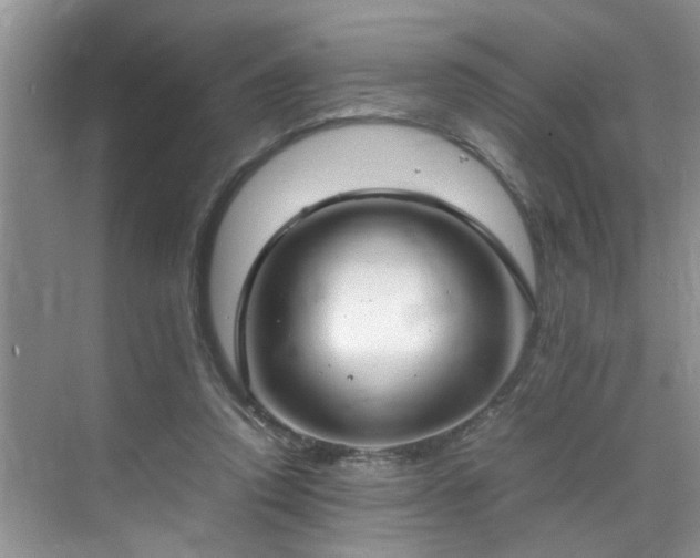 X0000070430354200606161510