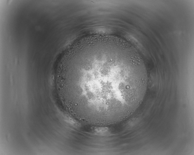 X0000070430355200606161510