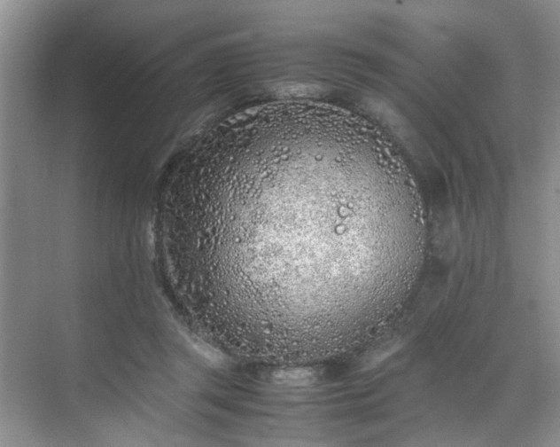 X0000070430357200606161510