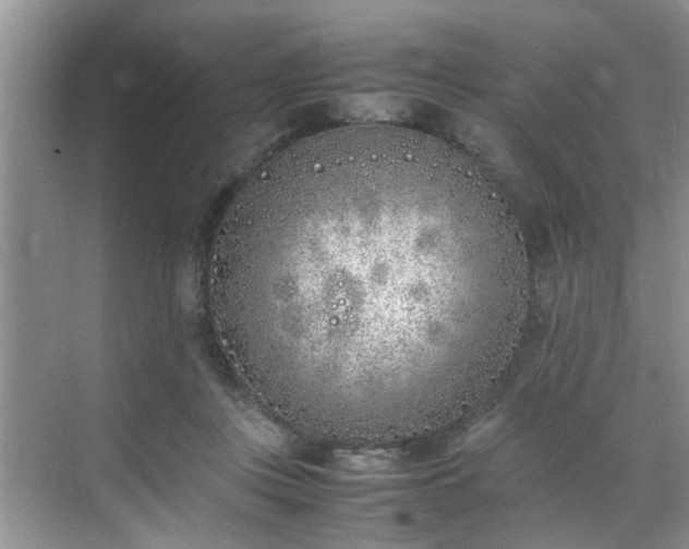 X0000070430359200606161510