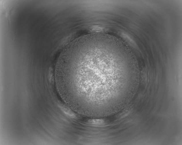 X0000070430361200606161510