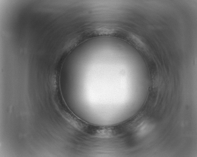 X0000070430362200606161510