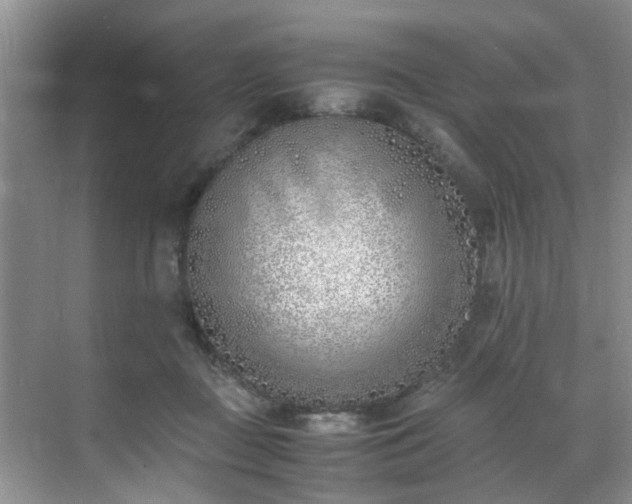 X0000070430363200606161510