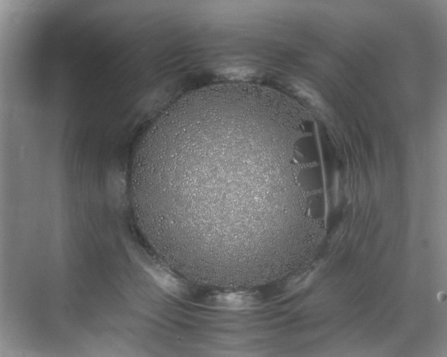 X0000070430365200606161510