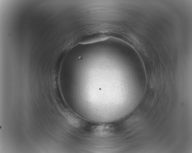 X0000070430366200606161510