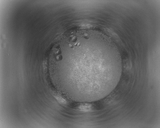 X0000070430369200606161510