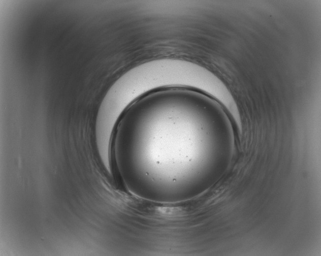 X0000070430371200606161510