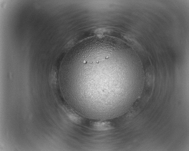 X0000070430375200606161510