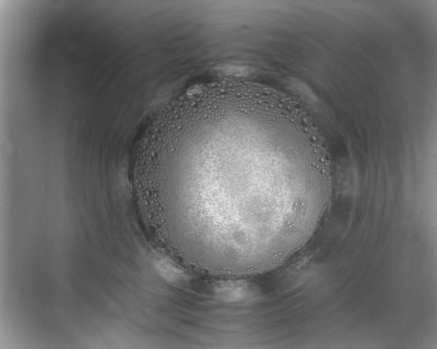 X0000070430377200606161510