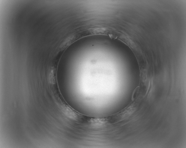 X0000070430378200606161510