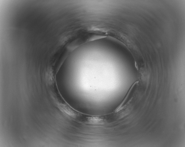 X0000070430380200606161510